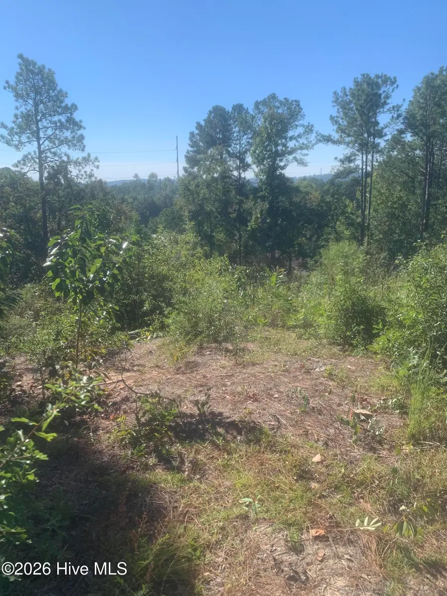 2333 Rutherford Avenue, Augusta, GA 30906 - #2