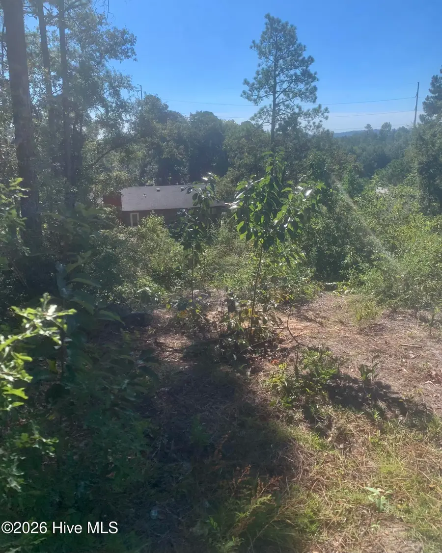 2333 Rutherford Avenue, Augusta, GA 30906 - #3