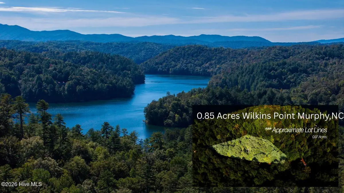 46 Wilkins Pt Point, Murphy, NC 28906 - #1