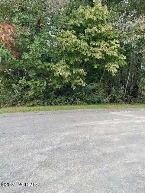 5 Raintree Court, Pinehurst, NC 28374 - #1