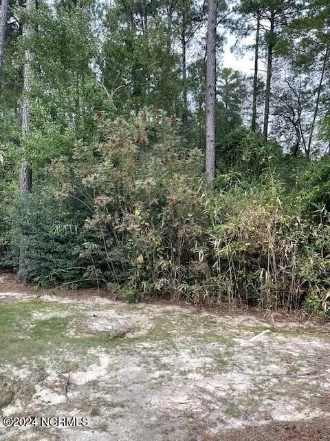 5 Raintree Court, Pinehurst, NC 28374 - #2