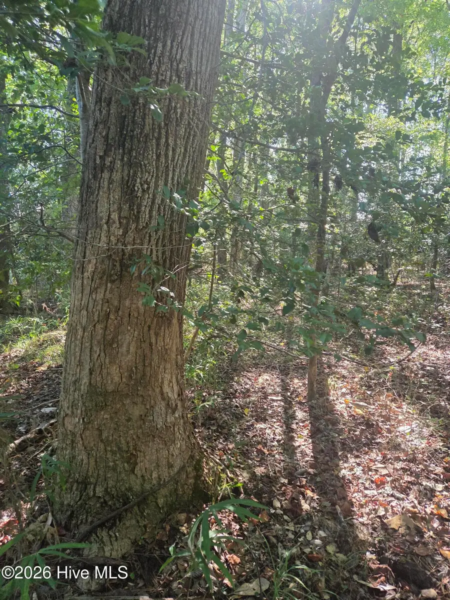 Tbd Us 1 Highway, Vass, NC 28394 - #3