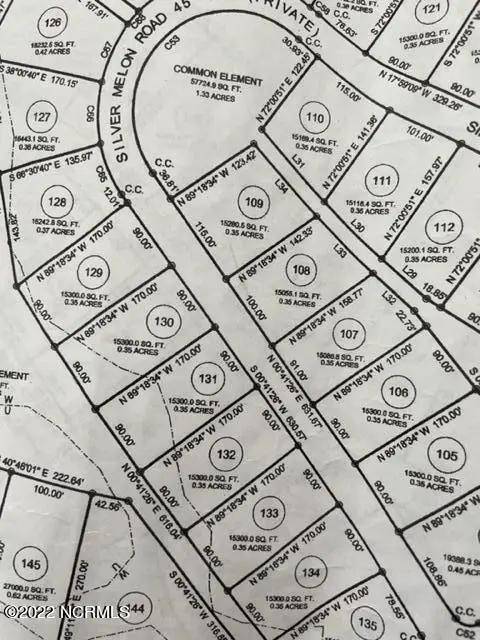 3812 Silver Melon Road Ne, Leland, NC 28451 - #1
