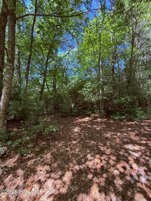 Lot 12 Holly Ridge Drive, Topton, NC 28781