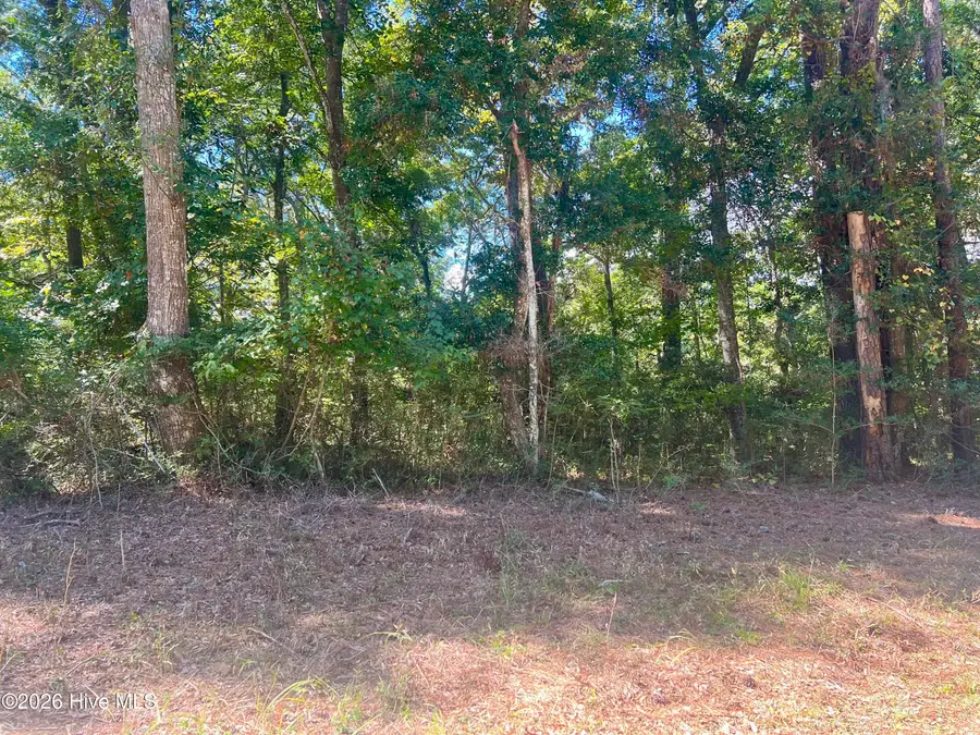 631 Sea Hawk Drive Sw, Sunset Beach, NC 28468 - #2