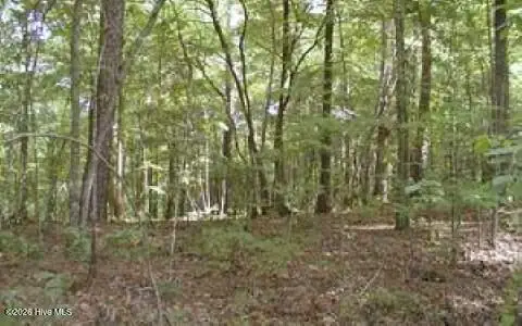 53 Panda Lane, Murphy, NC 28906 - #1