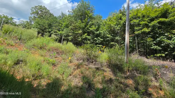 Lot 9 Wolf Ridge Lane, Murphy, NC 28906
