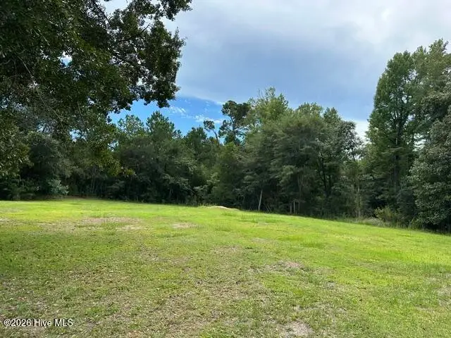 270 Williams Store Road, Hampstead, NC 28443 - #1