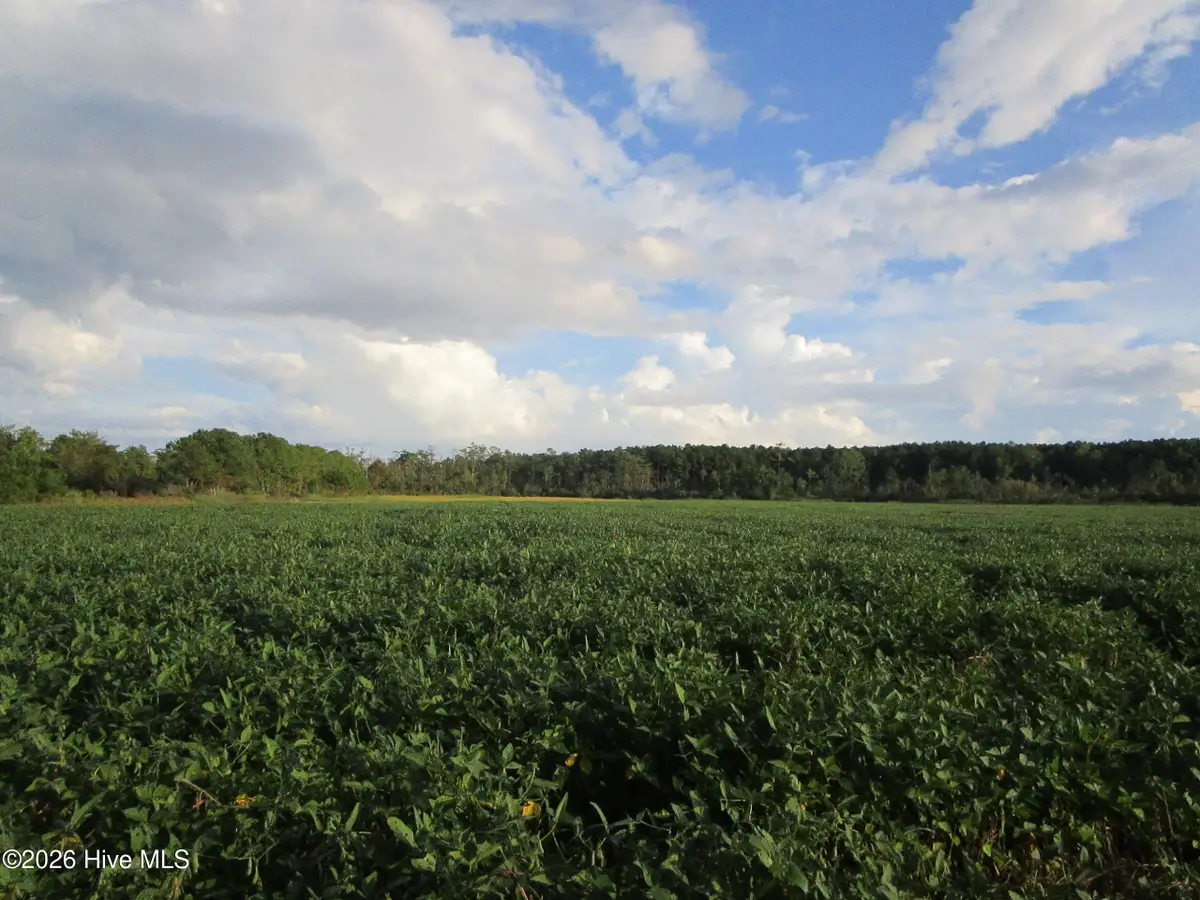 0 Bluff Point Road, Elizabeth City, NC 27909 - #1
