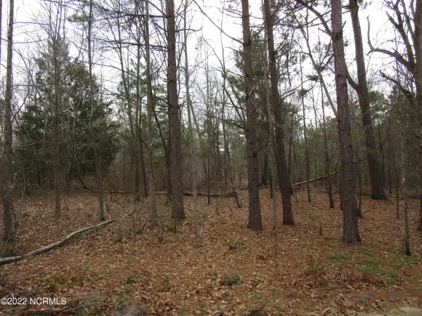 Lot 43& 44 Lakewood Drive, Maxton, NC 28364