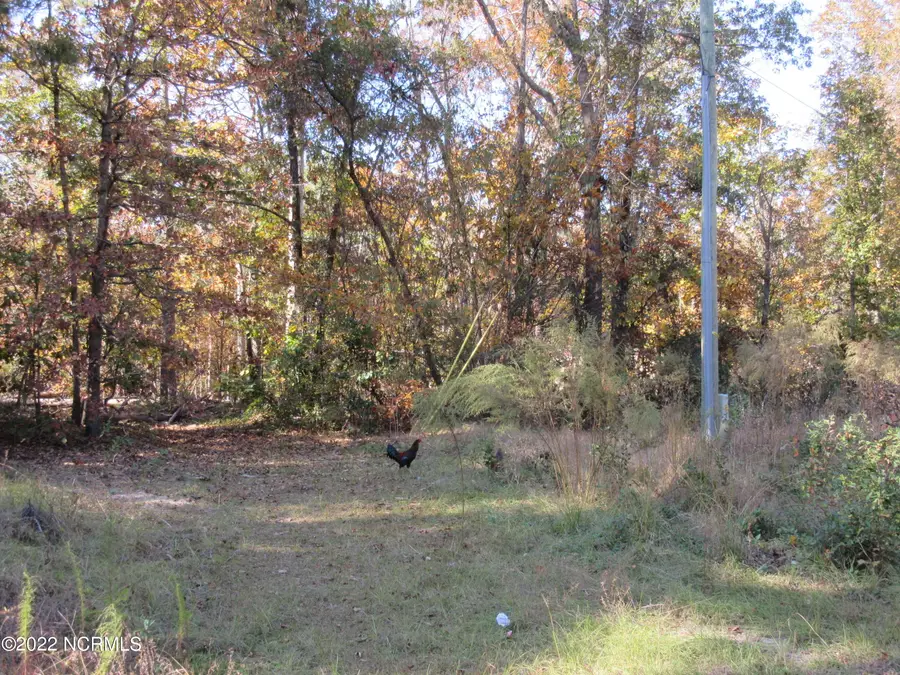 Lot 43& 44 Lakewood Drive, Maxton, NC 28364 - #2