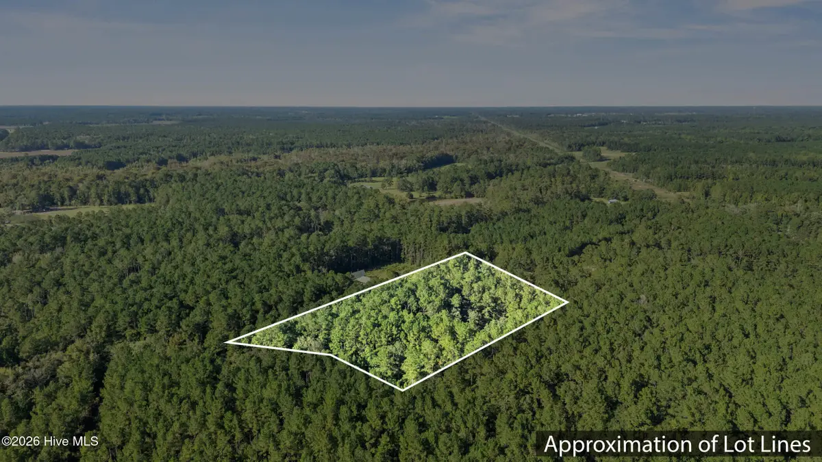 0 Near N Wright Way, Burgaw, NC 28425 - #1