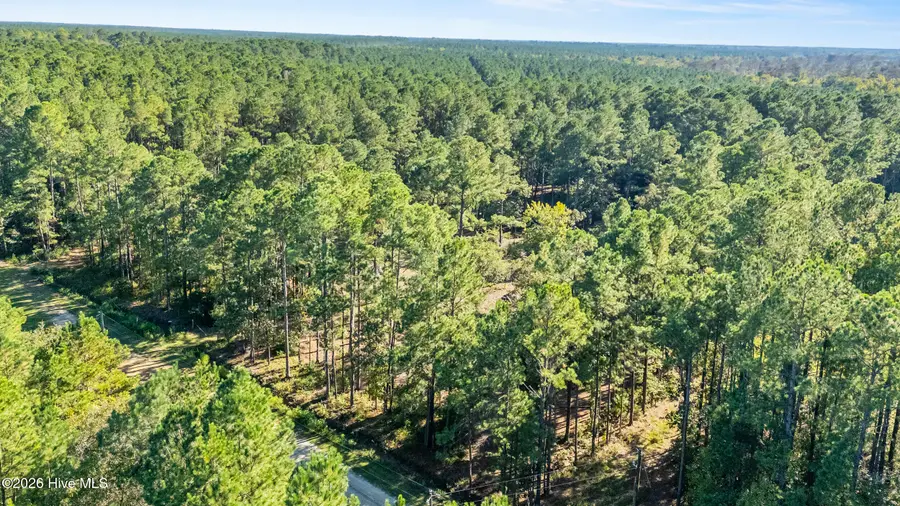 0 Near N Wright Way, Burgaw, NC 28425 - #3
