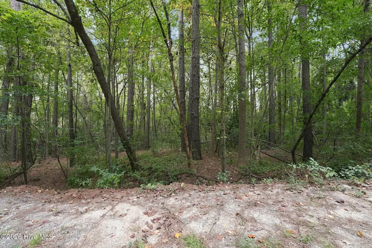 134 Bellhaven Drive, Carthage, NC 28327 - #1