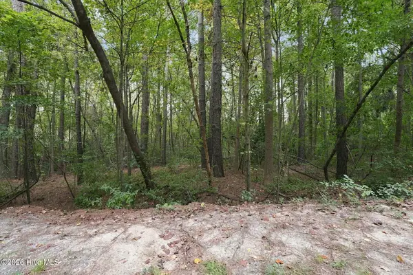 134 Bellhaven Drive, Carthage, NC 28327