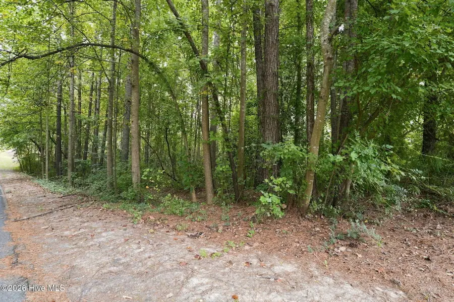 134 Bellhaven Drive, Carthage, NC 28327 - #3