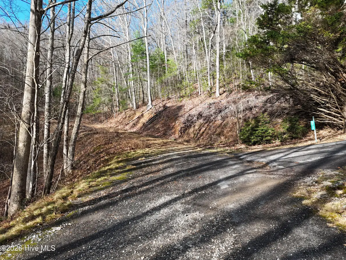 4.01 Ac Park Hill Avenue, Blairsville, GA 30512 - #1