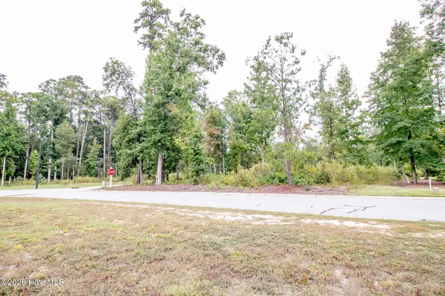 115 Liverpool, Rocky Mount, NC 27804 - #3