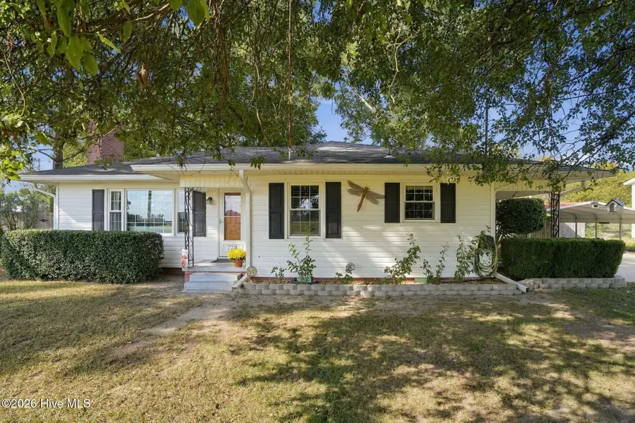 774 Old Smith Chapel Road, Mount Olive, NC 28365 - #3
