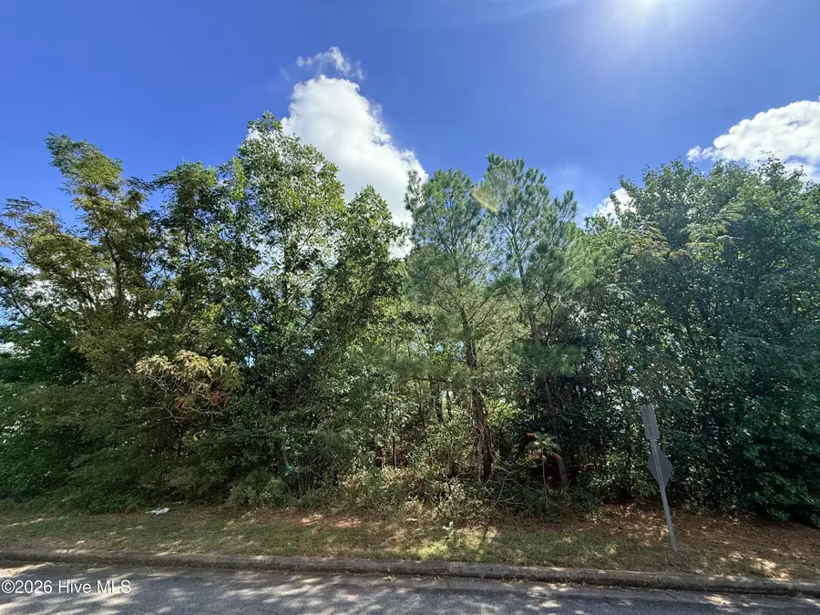105 N Hills Drive, North Augusta, SC 29841 - #2