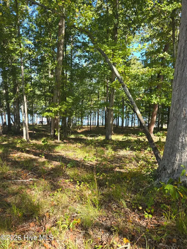 0 Nautical Point, Lincolnton, GA 30817