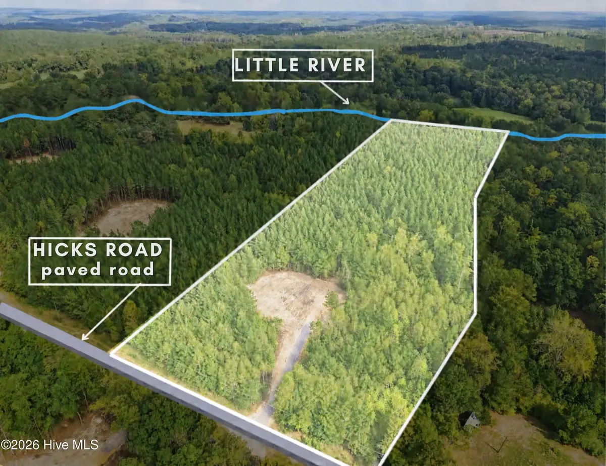 Lot 5 Capelsie Road, Candor, NC 27229 - #1