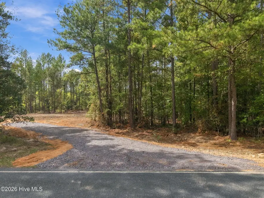 Lot 1 Capelsie Road, Candor, NC 27229 - #3
