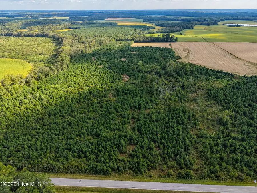 Tract 4 Bethlehem Church Road, Tarboro, NC 27886 - #3