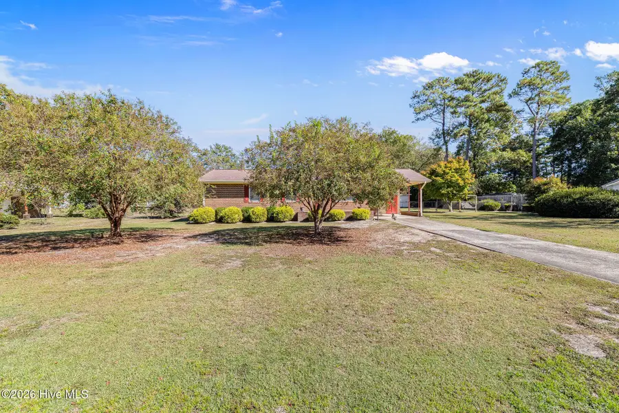 100 Jill Street, Dudley, NC 28333 - #3