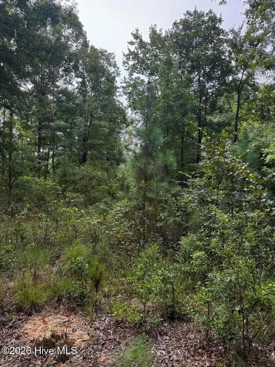 00 Gabe Rd, Saluda, SC 29138 - #2