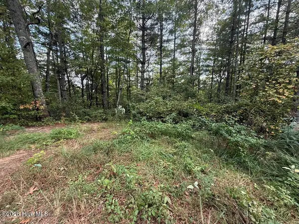 183 Mundy Road, Marble, NC 28905