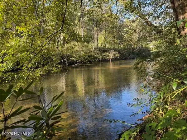 Lot 73 Turkey Walk Drive, Marble, NC 28905