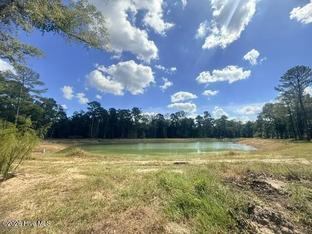 3892 River Park Way Ne, Leland, NC 28451 - #1