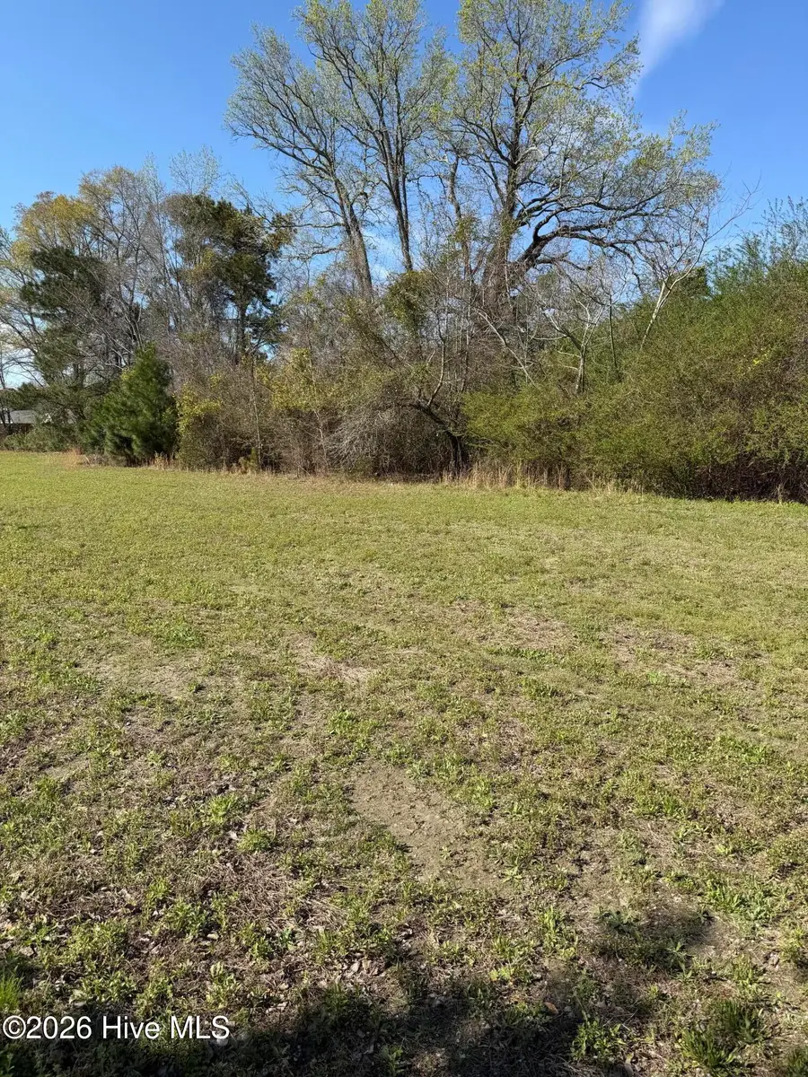 Tract A Reminisce Road, Castle Hayne, NC 28429 - #2
