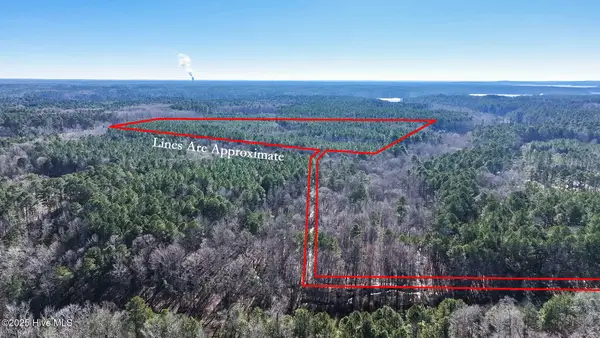 Off J B Morgan Road, Apex, NC 27502