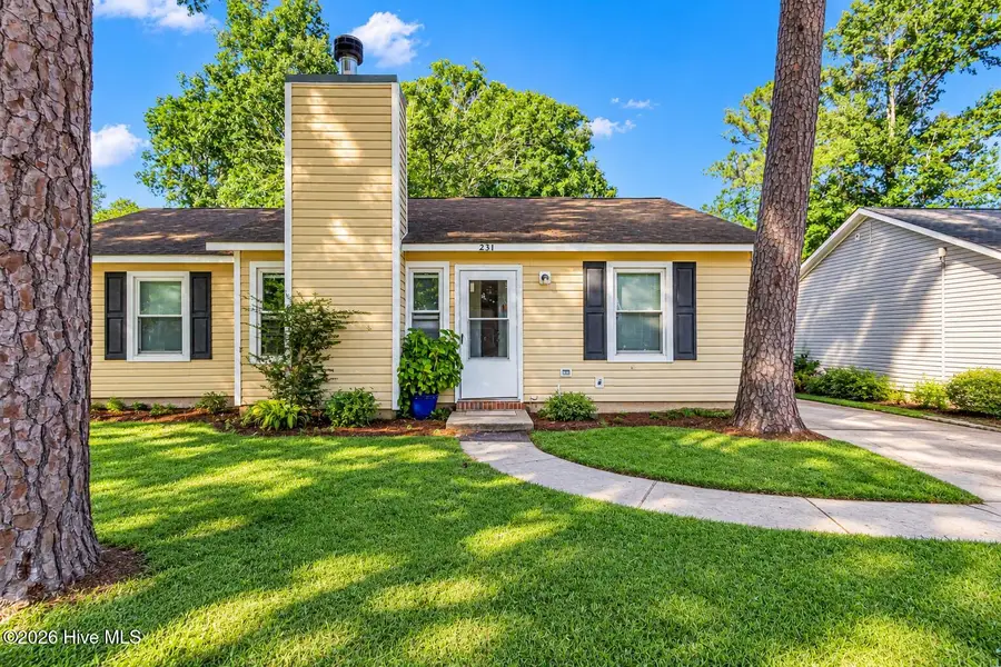 231-233 Easy Street, Jacksonville, NC 28546 - #2
