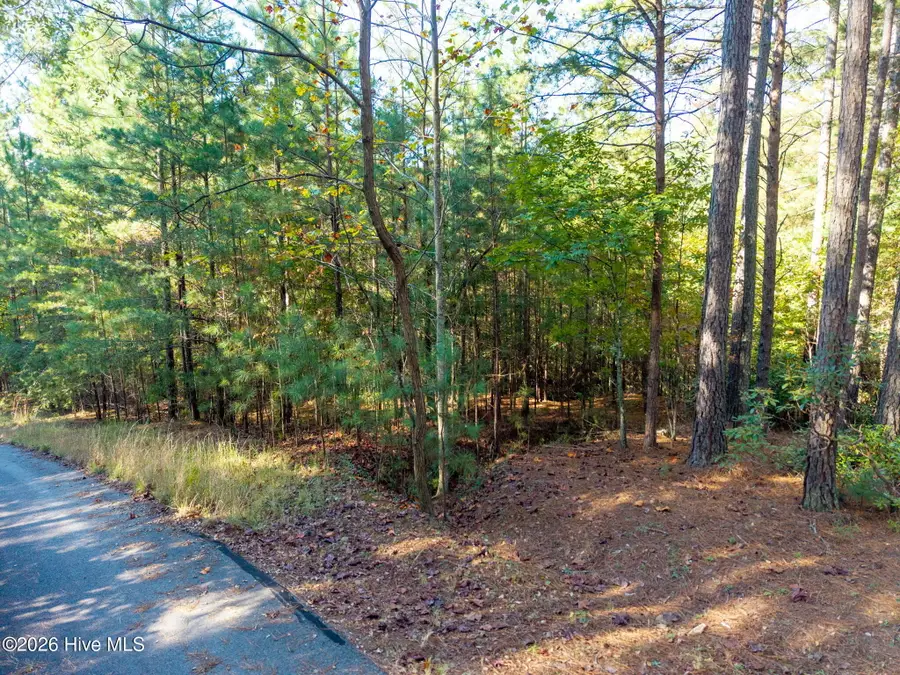 Lot 11 Nature Trail, Murphy, NC 28906 - #3