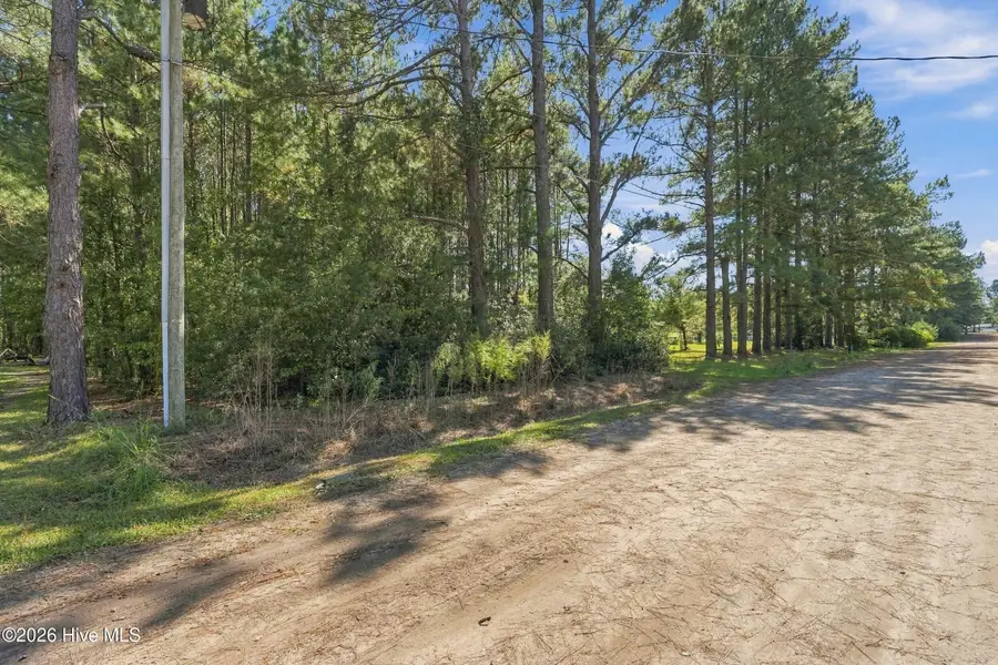 6560 Farm Meadows Drive Ne, Leland, NC 28451 - #2