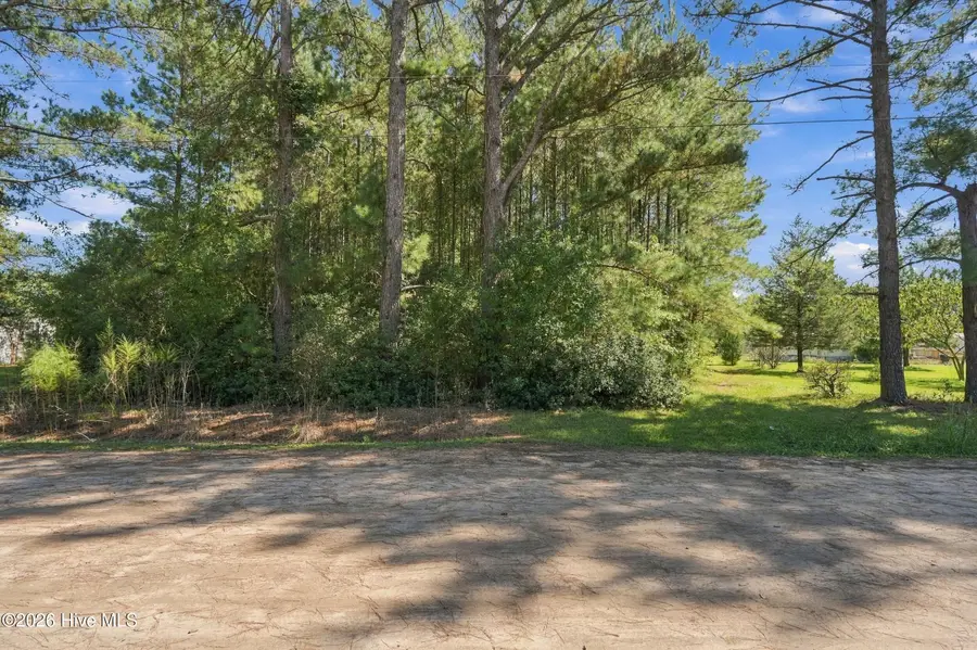 6560 Farm Meadows Drive Ne, Leland, NC 28451 - #3