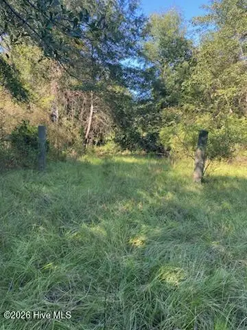 1071 W 4 Points Road, Keysville, GA 30816 - #2