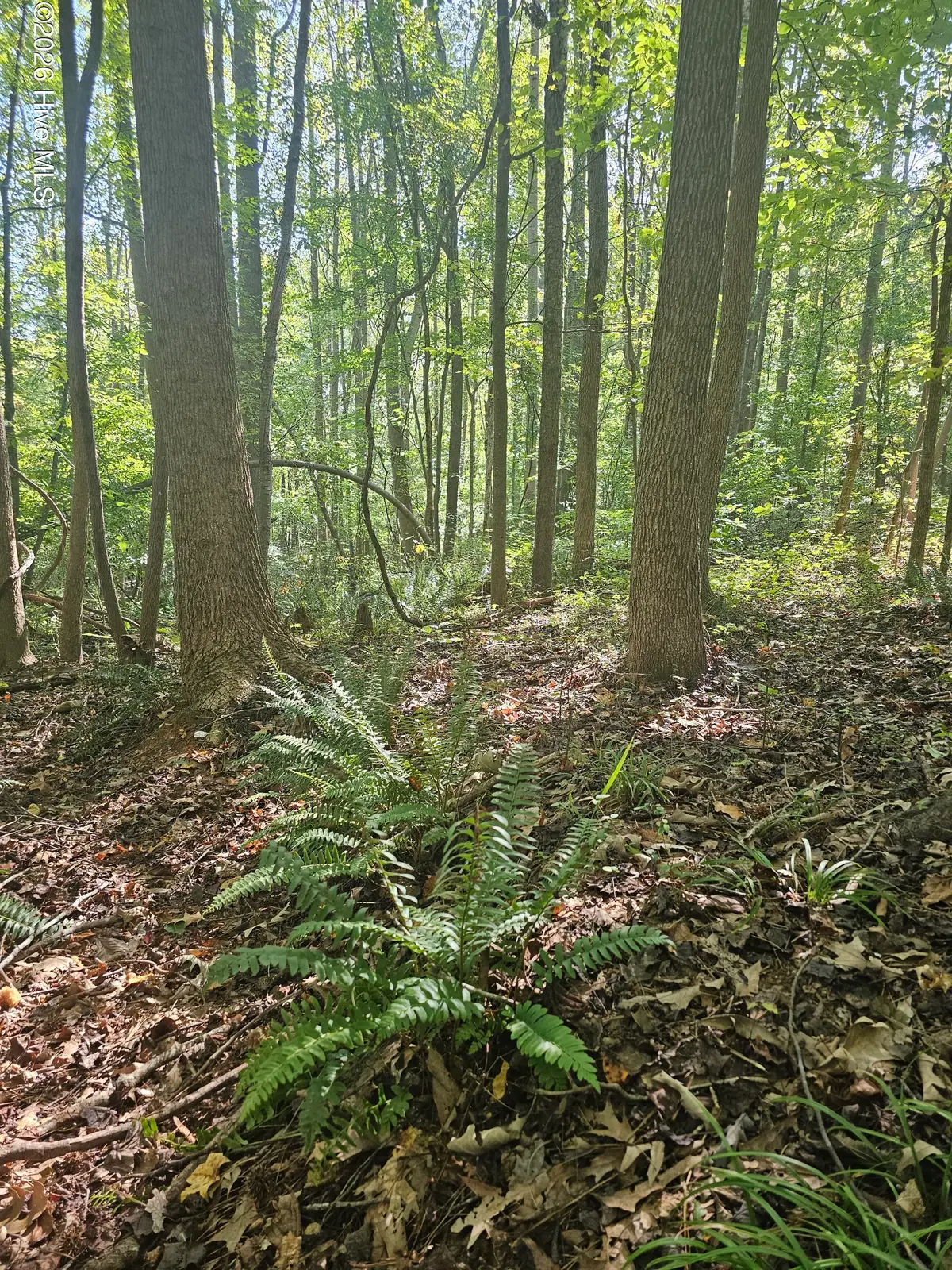 0 Off Old County Home Road, Nashville, NC 27856 - #1