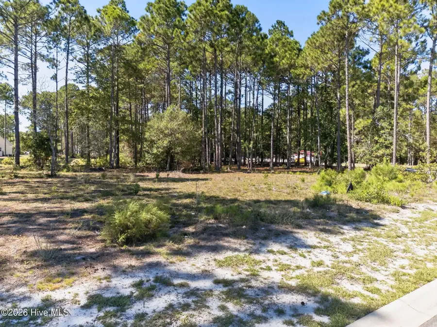 6783 Holton Place Sw, Ocean Isle Beach, NC 28469 - #3