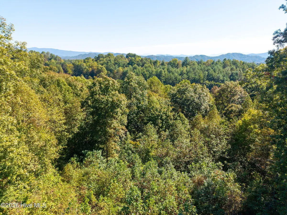 164 Big Sky Drive, Murphy, NC 28906 - #1