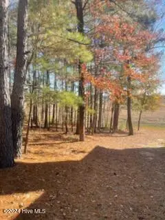 847 Seagull Drive, Vass, NC 28394