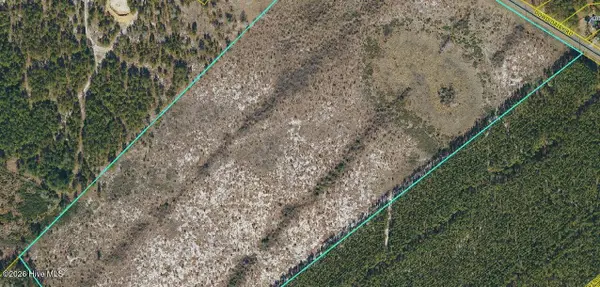 Tbd Dowd Dairy Road, White Oak, NC 28399