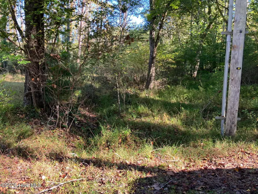 6 Rushing Water Trail, Hayesville, NC 28904 - #3