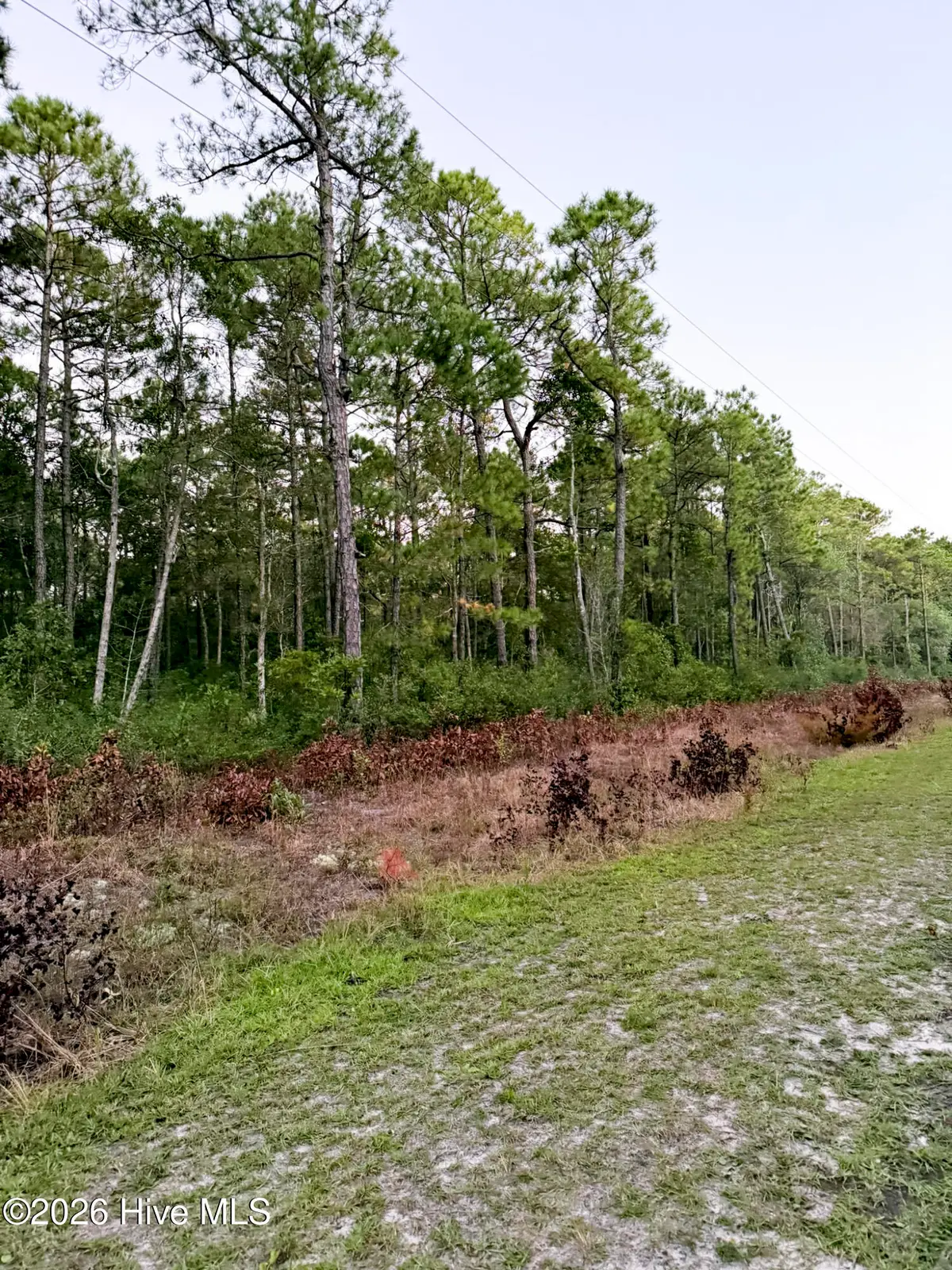 1603 Breezeway Drive Sw, Ocean Isle Beach, NC 28469 - #1
