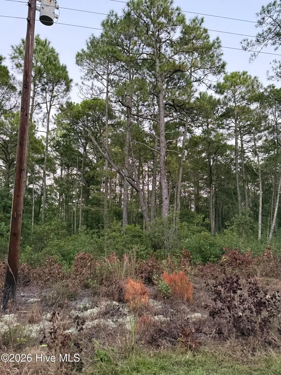 1603 Breezeway Drive Sw, Ocean Isle Beach, NC 28469 - #3