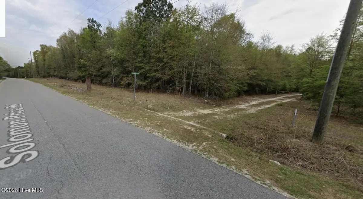 Lt 10 Turning Leaf Ln, Barnwell, SC 29812 - #1