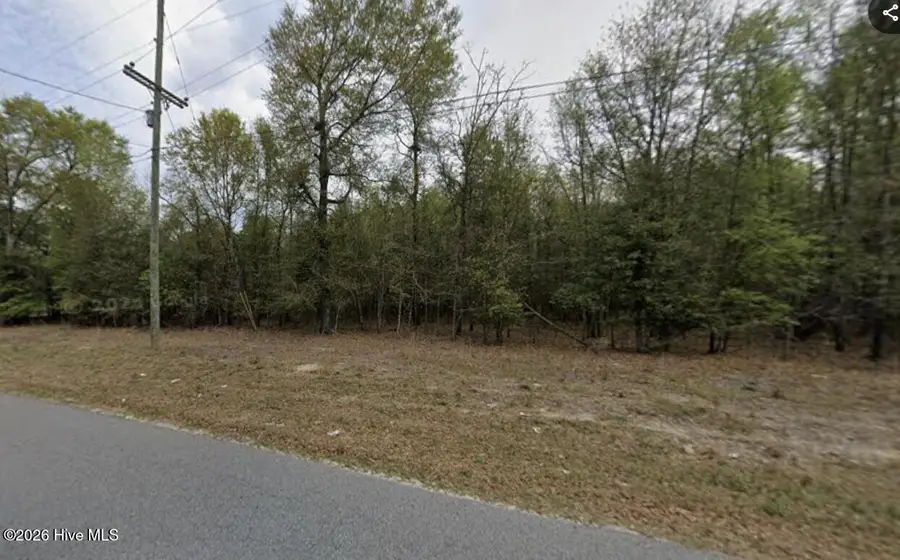 Lt 10 Turning Leaf Ln, Barnwell, SC 29812 - #2